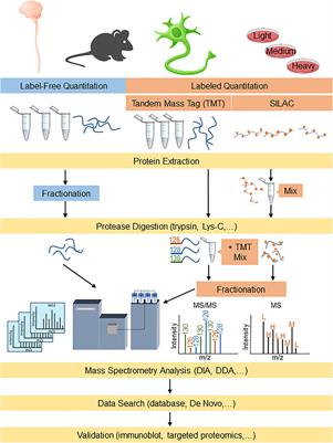 Proteomics Approaches for Biomarker and Drug Target Discovery in ALS and FTD